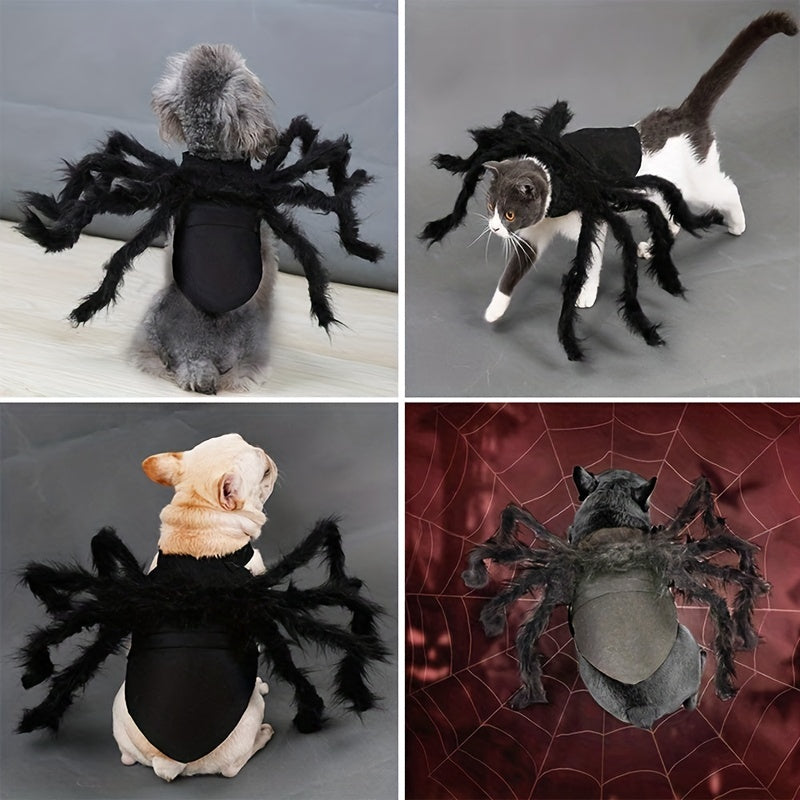 Halloween Spinnen-Kostüm für Katzen & Hunde 🕷️ | Lustiges Outfit für kleine & mittlere Vierbeiner
