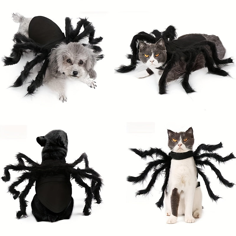 Halloween Spinnen-Kostüm für Katzen & Hunde 🕷️ | Lustiges Outfit für kleine & mittlere Vierbeiner