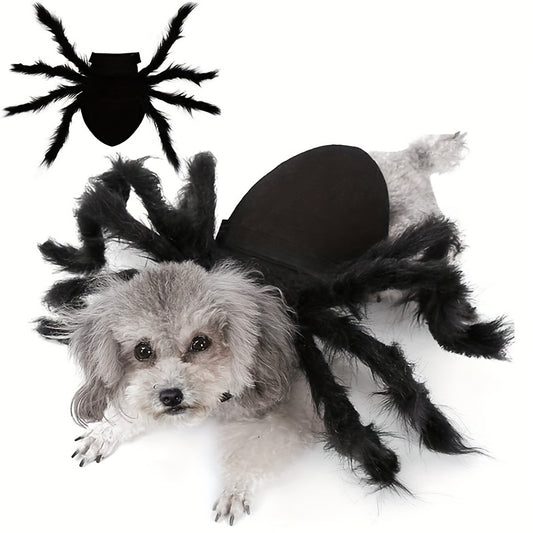 Halloween Spinnen-Kostüm für Katzen & Hunde 🕷️ | Lustiges Outfit für kleine & mittlere Vierbeiner