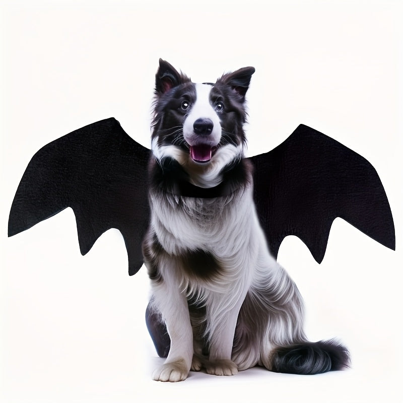 Halloween Fledermaus-Kostüm für Hunde & Katzen 🦇 | Verstellbare Flügel für schaurig-süßen Look