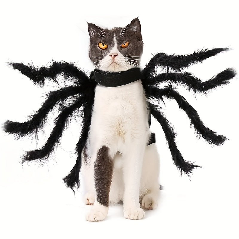 Halloween Spinnen-Kostüm für Katzen & Hunde 🕷️ | Lustiges Outfit für kleine & mittlere Vierbeiner