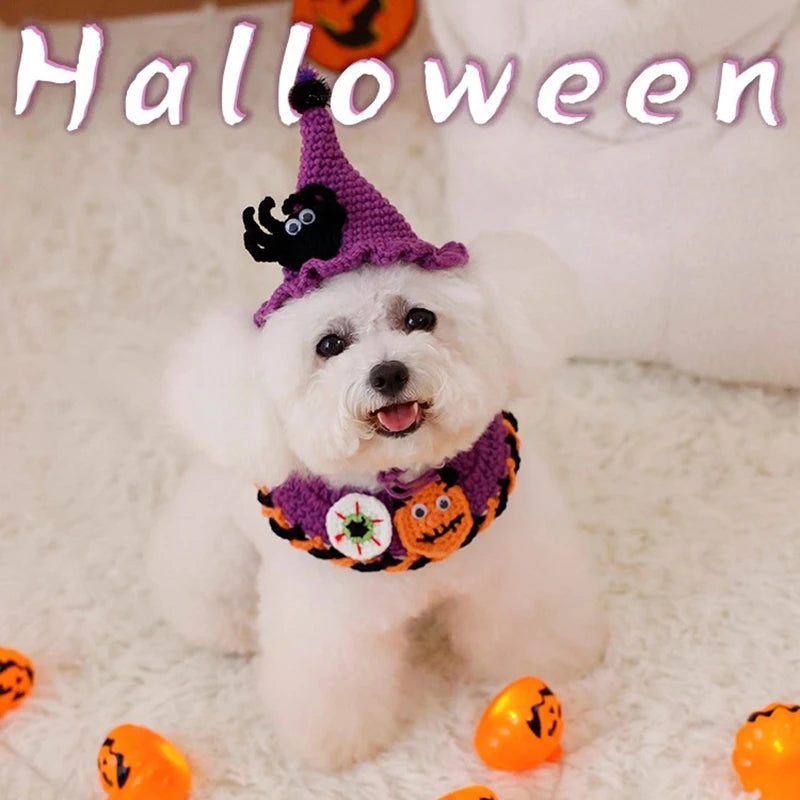 Katzen & Hunde Löwenmähne – Lustige Verkleidung Mütze mit Ohren 🦁 | Kostüm für Halloween & Weihnachten