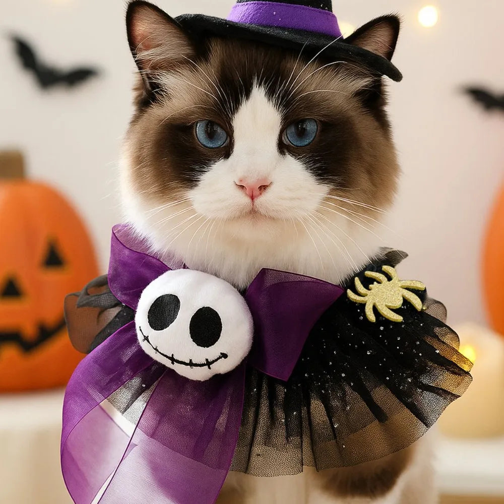 Halloween Hunde- & Katzenhalsband – Verstellbarer Spitzenkragen mit Kürbis, Spinne & Geist 🎃 | Bequemes Party-Accessoire