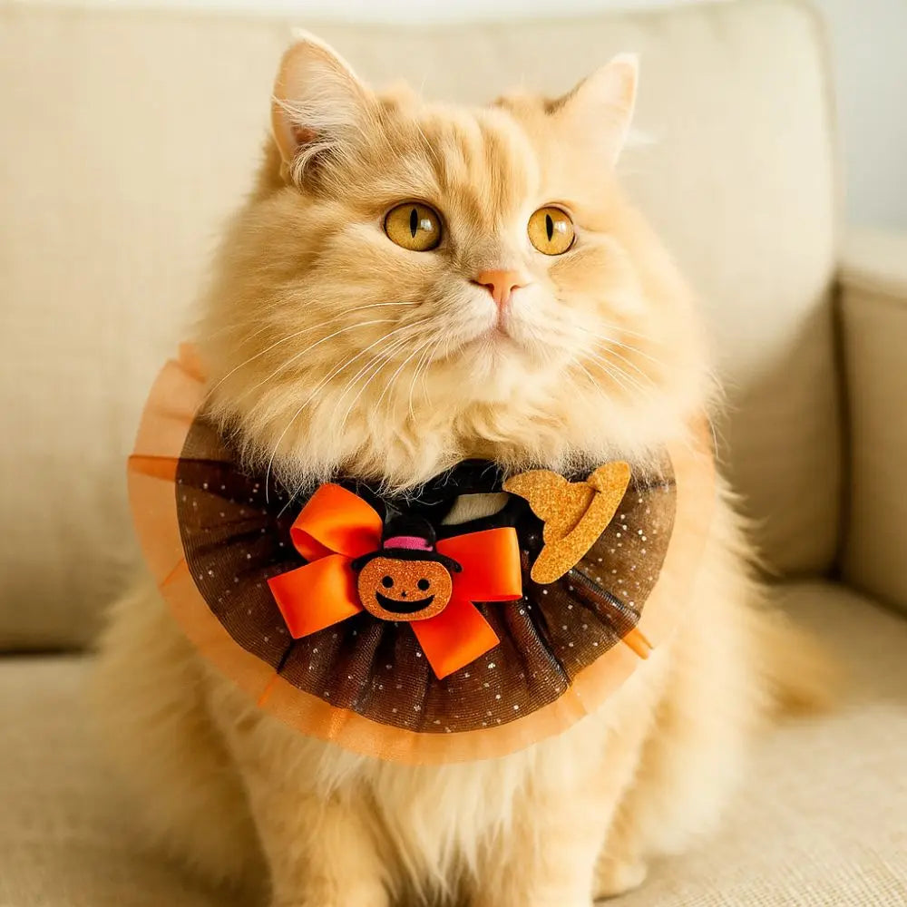 Halloween Hunde- & Katzenhalsband – Verstellbarer Spitzenkragen mit Kürbis, Spinne & Geist 🎃 | Bequemes Party-Accessoire