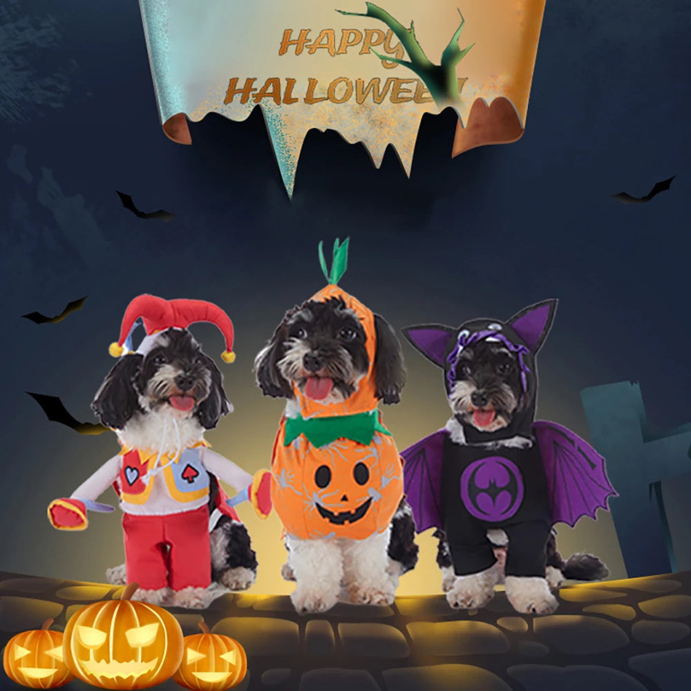 Halloween Hundekostüme für kleine Hunde 🐶