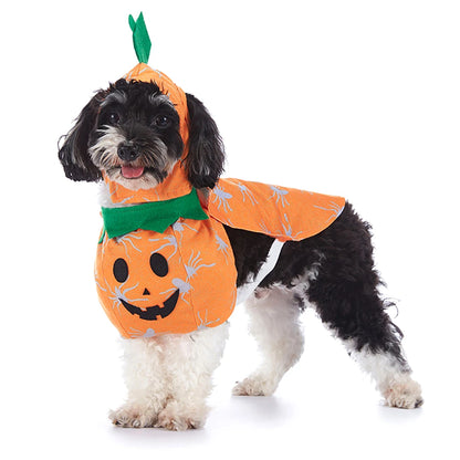 Halloween Hundekostüme für kleine Hunde 🐶
