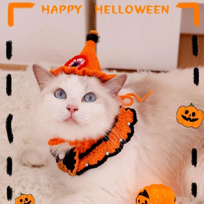 Katzen & Hunde Löwenmähne – Lustige Verkleidung Mütze mit Ohren 🦁 | Kostüm für Halloween & Weihnachten
