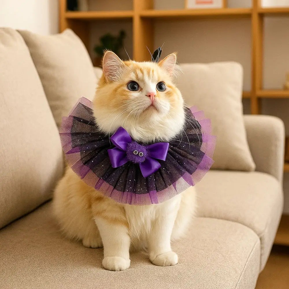 Halloween Hunde- & Katzenhalsband – Verstellbarer Spitzenkragen mit Kürbis, Spinne & Geist 🎃 | Bequemes Party-Accessoire