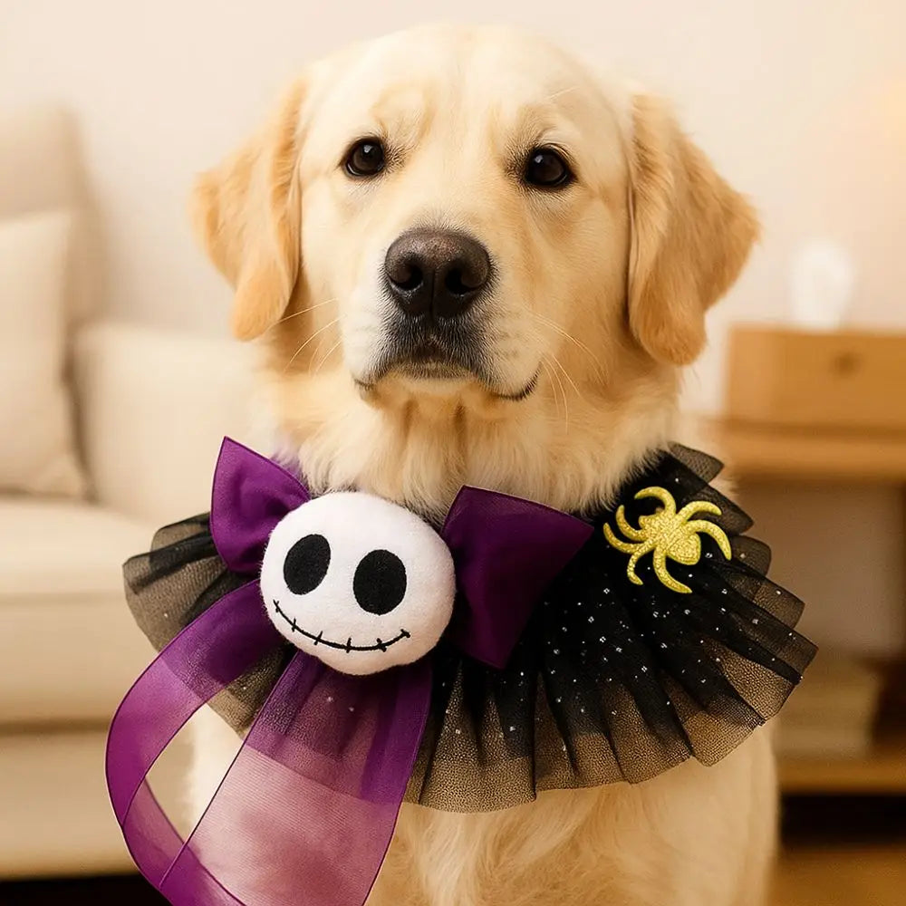 Halloween Hunde- & Katzenhalsband – Verstellbarer Spitzenkragen mit Kürbis, Spinne & Geist 🎃 | Bequemes Party-Accessoire