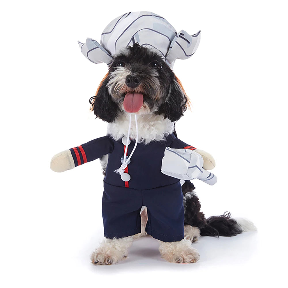 Halloween Hundekostüme für kleine Hunde 🐶