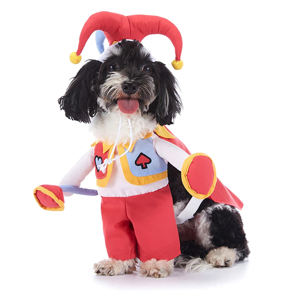 Halloween Hundekostüme für kleine Hunde 🐶