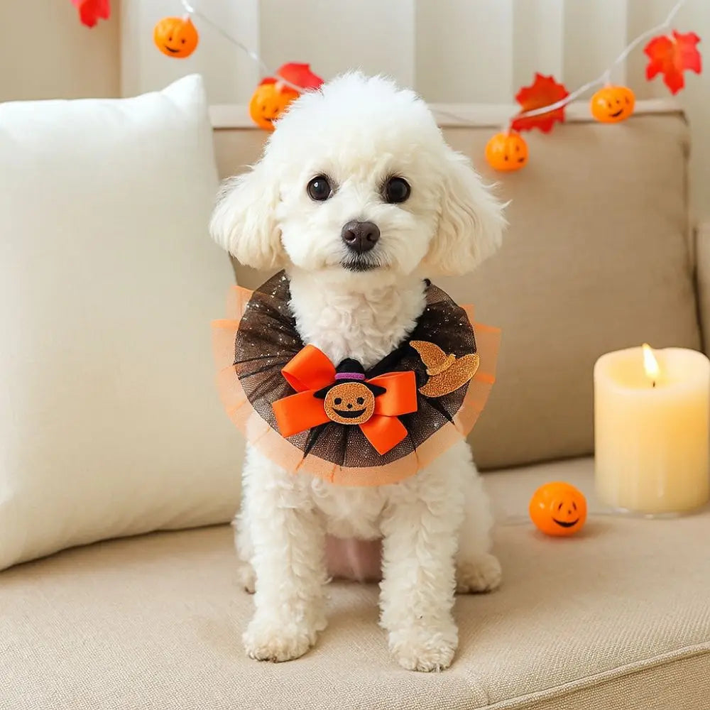 Halloween Hunde- & Katzenhalsband – Verstellbarer Spitzenkragen mit Kürbis, Spinne & Geist 🎃 | Bequemes Party-Accessoire