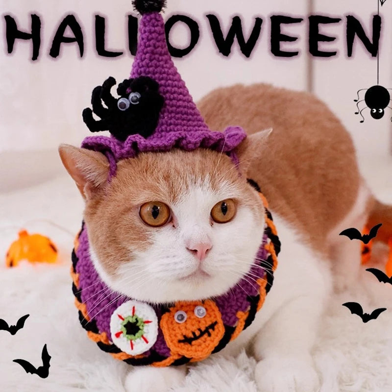 Katzen & Hunde Löwenmähne – Lustige Verkleidung Mütze mit Ohren 🦁 | Kostüm für Halloween & Weihnachten