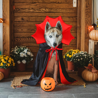 Halloween Vampir-Umhang für Hunde 🦇 | Roter & Schwarzer Cape-Look für kleine, mittlere & große Hunde