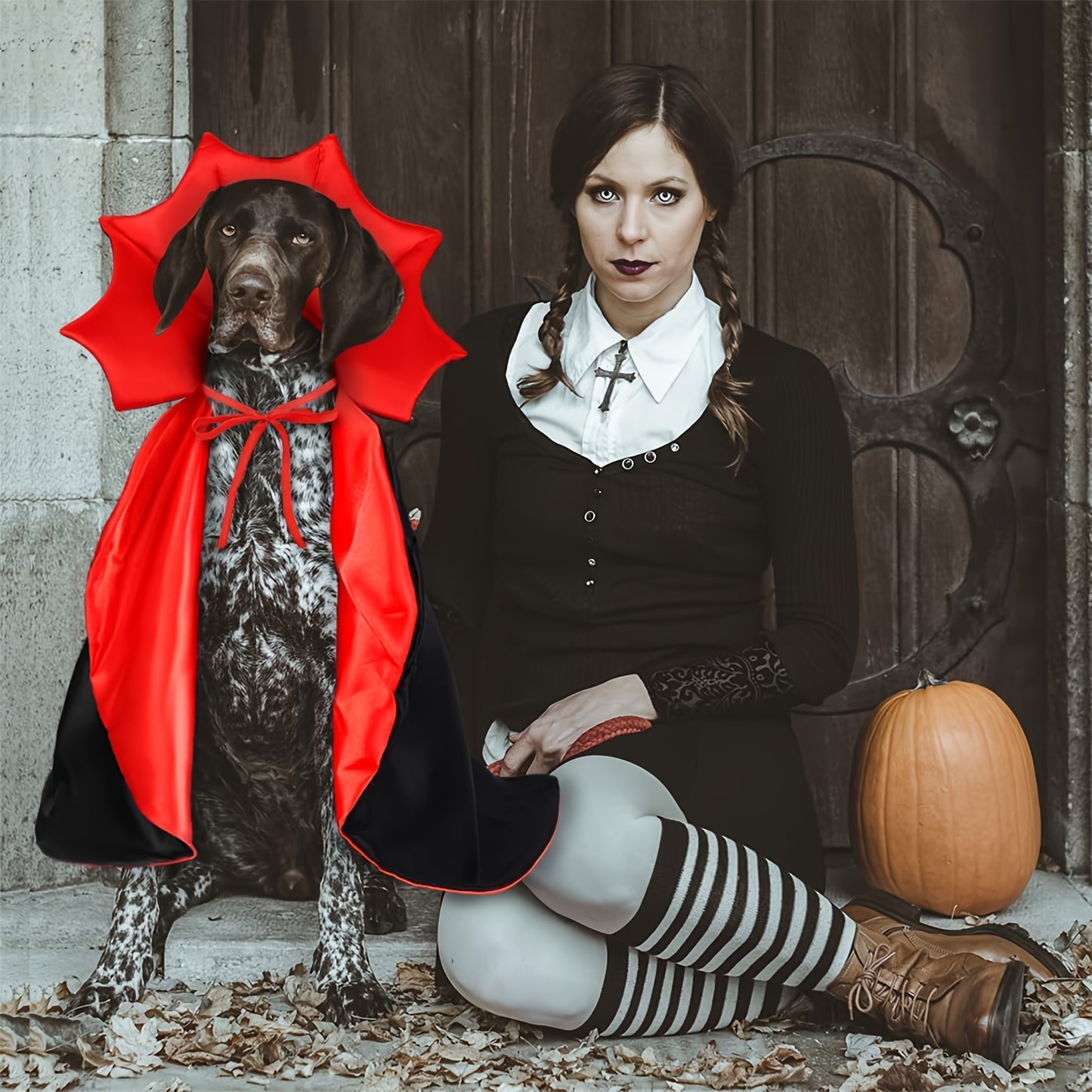 Halloween Vampir-Umhang für Hunde 🦇 | Roter & Schwarzer Cape-Look für kleine, mittlere & große Hunde