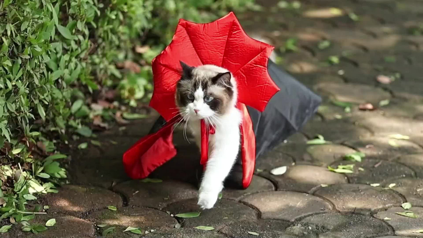 Halloween Vampir-Umhang für Hunde 🦇 | Roter & Schwarzer Cape-Look für kleine, mittlere & große Hunde