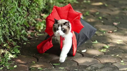 Halloween Vampir-Umhang für Hunde 🦇 | Roter & Schwarzer Cape-Look für kleine, mittlere & große Hunde