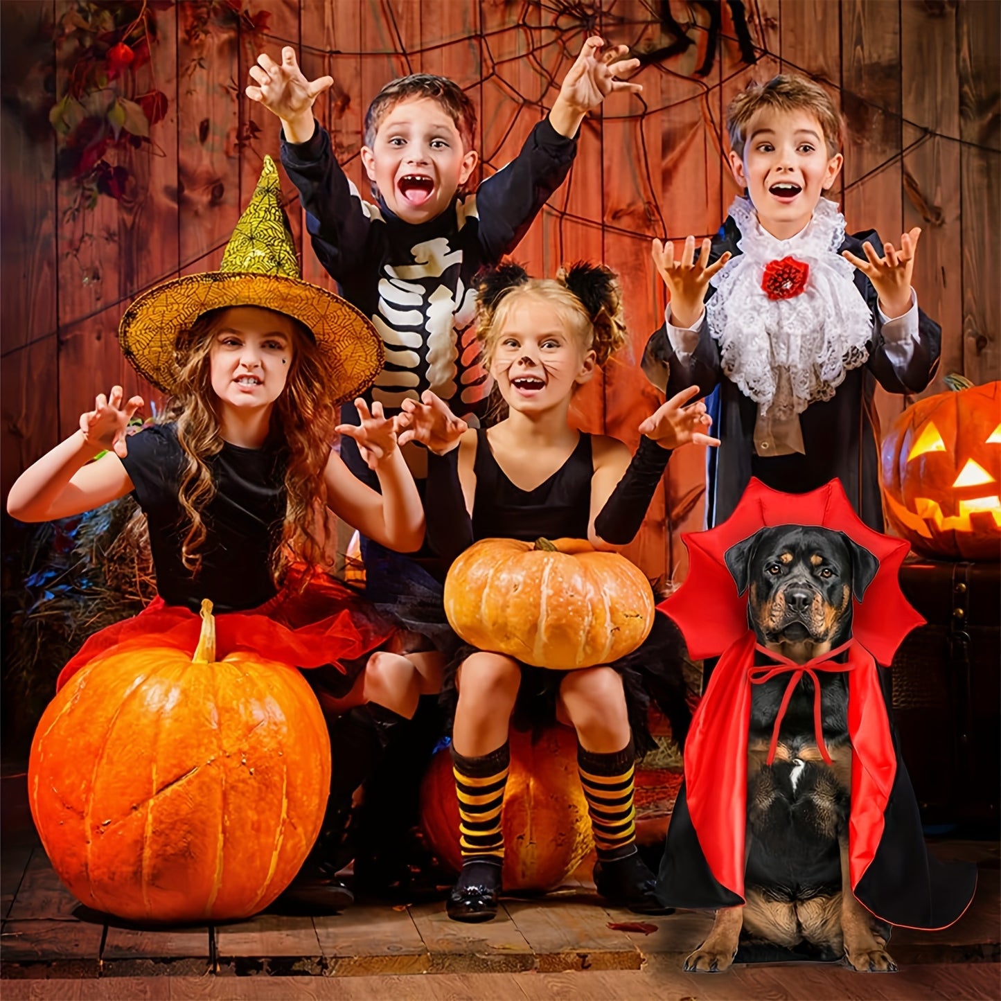 Halloween Vampir-Umhang für Hunde 🦇 | Roter & Schwarzer Cape-Look für kleine, mittlere & große Hunde