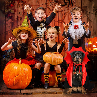 Halloween Vampir-Umhang für Hunde 🦇 | Roter & Schwarzer Cape-Look für kleine, mittlere & große Hunde